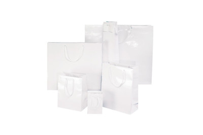 SACS BLANC PELLICULES BRILLANT