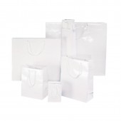 SACS BLANC PELLICULES BRILLANT