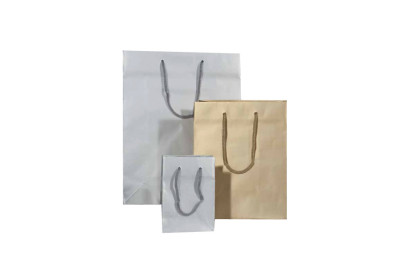 Sacs prestige argent