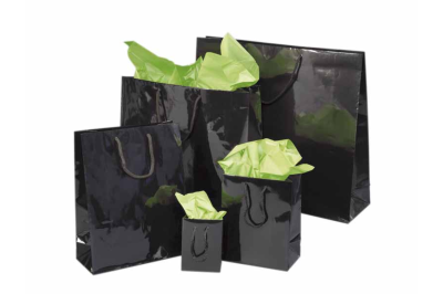 SACS NOIRS PELLICULES BRILLANT