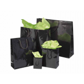 SACS NOIRS PELLICULES BRILLANT