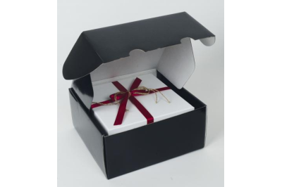 Boîtes d'expédition brillantes