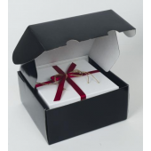 Boîtes d'expédition brillantes