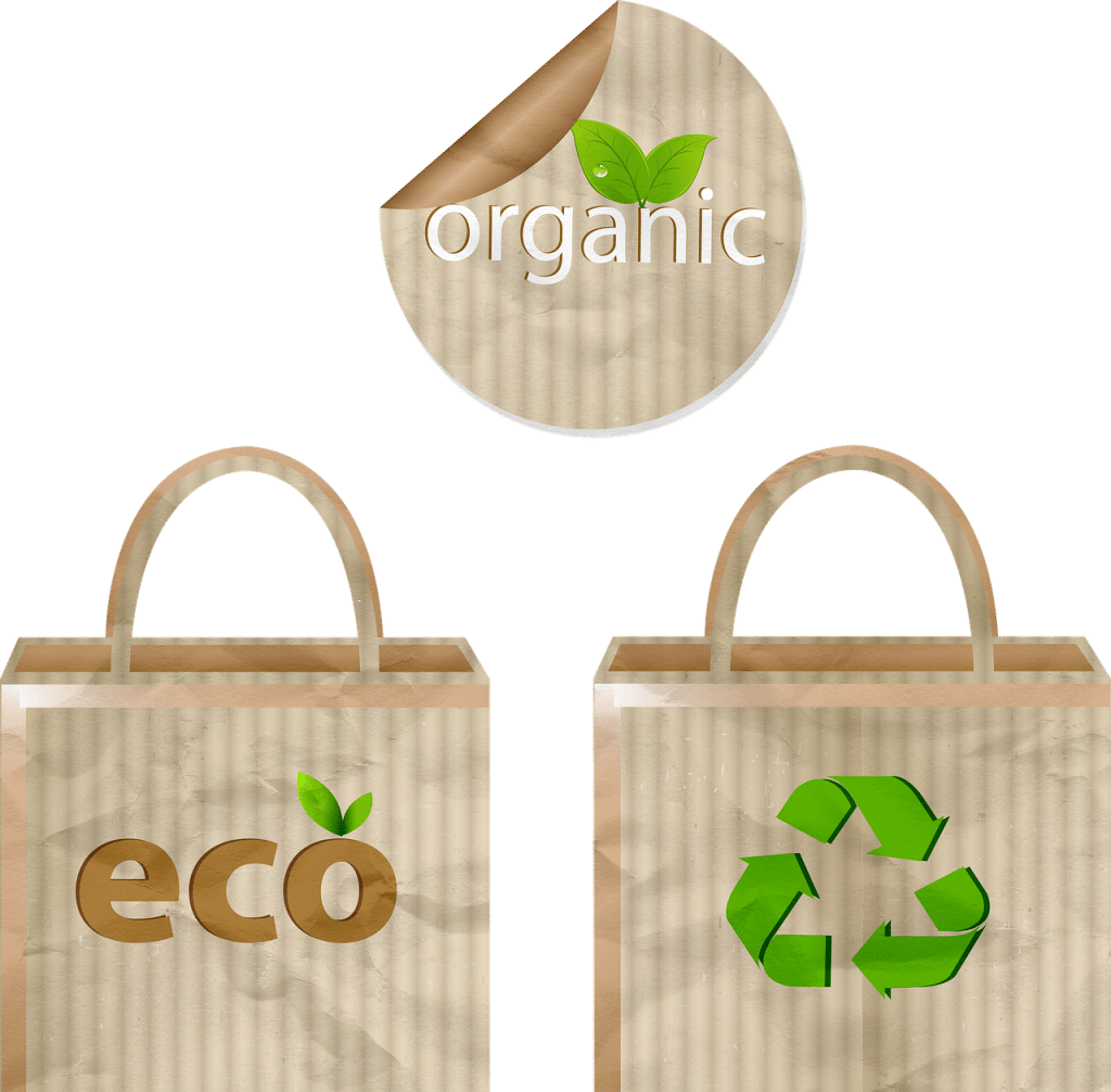 Comparaison entre sac en papier et sac en plastique !